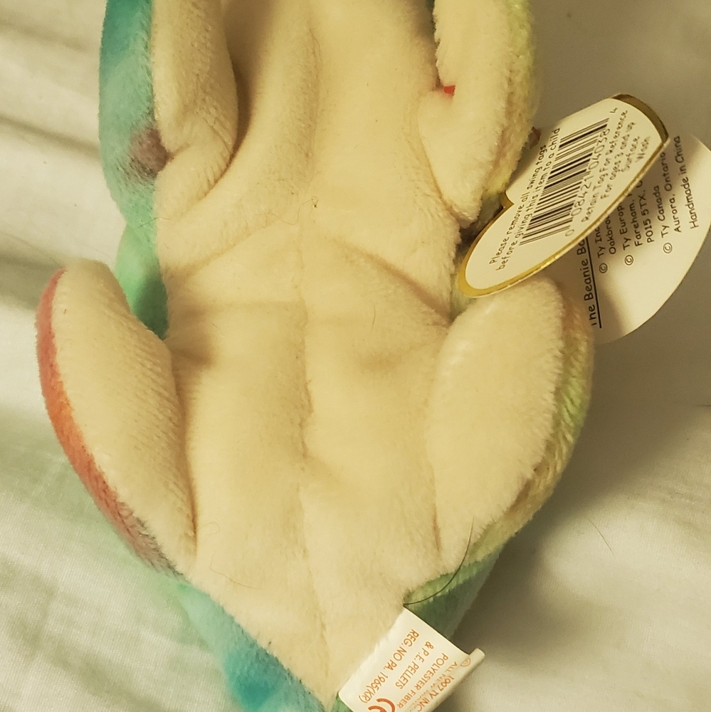 Iggy iguana